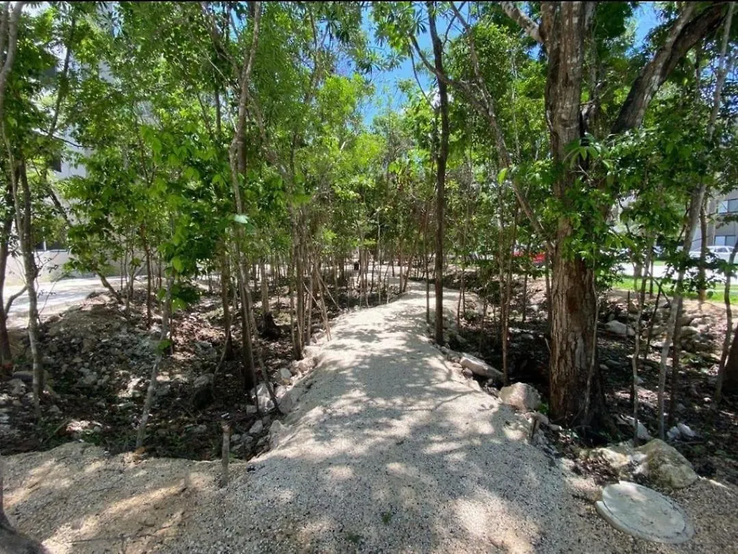 Natura Διαμέρισμα Πλάγια Ντελ Κάρμεν Μεξικό