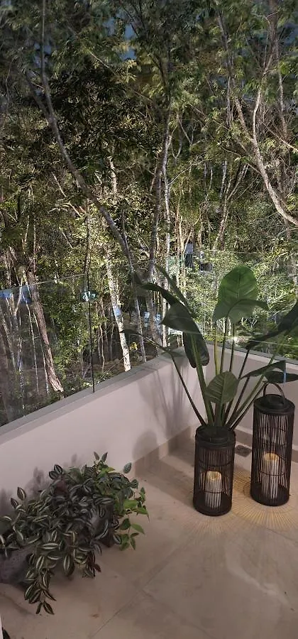 プレヤデルカーメンNaturaアパートメント アパート プレヤデルカーメン